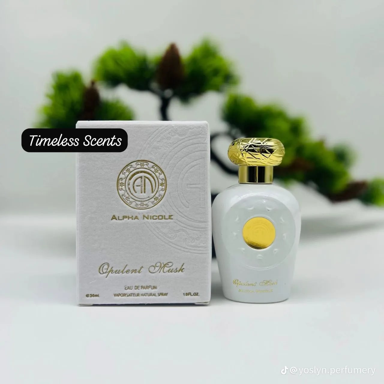 Opulent Musk by Alpha Nicole (perfume)