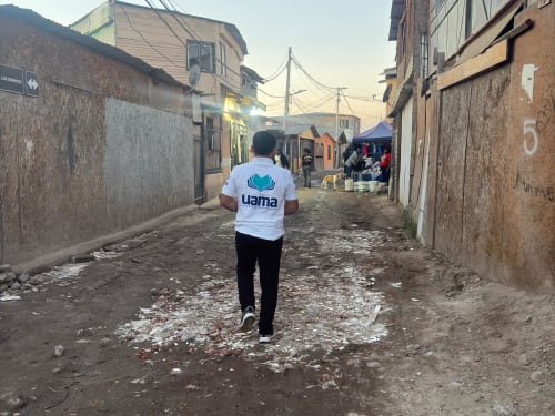 Distribution photo 19