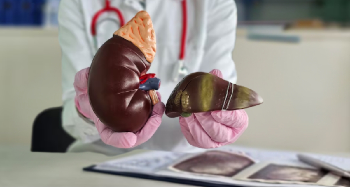 Why Your Liver and Kidneys Need a "Service" More Than Your Car Does