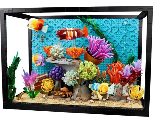 Tropical Aquarium Image