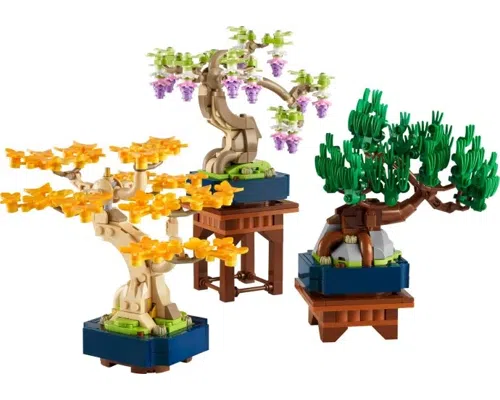 Mini Bonsai Trees Image