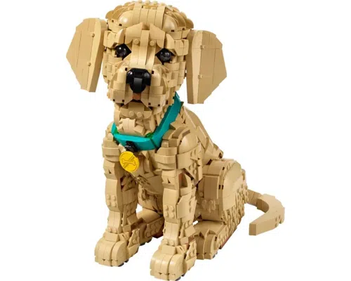 Golden Retriever Puppy Image
