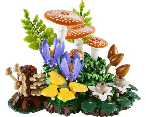 Woodland Mushrooms Image