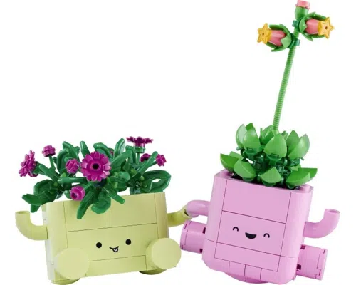 Rocking Plants Image