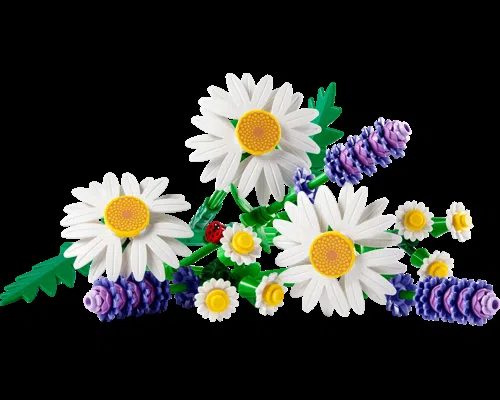 Daisies Image