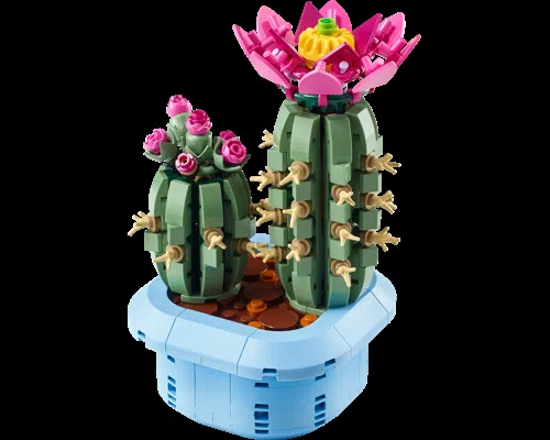Flowering Cactus Image