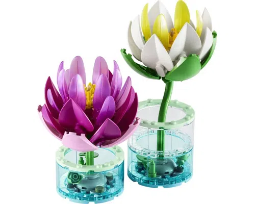 Water Lilies Image