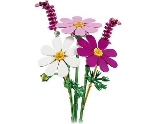 Cosmos Flowers Image