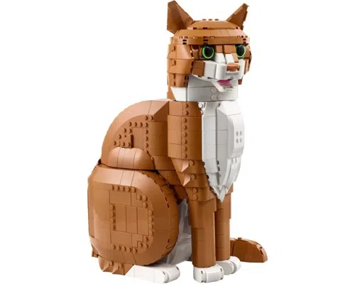 Orange Cat Image
