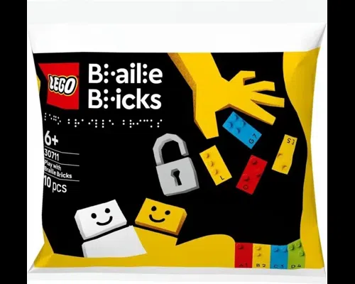 Play with Braille Bricks Image