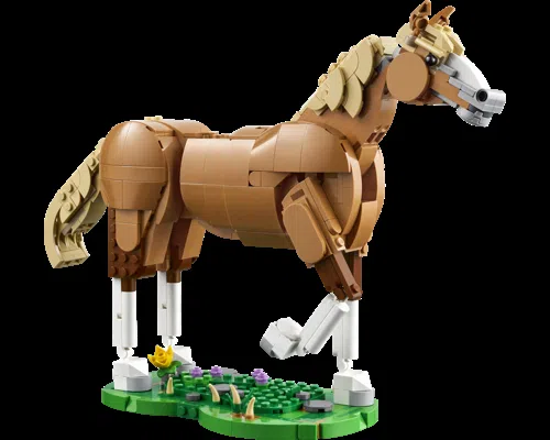 Beautiful Horse Beautiful Horse Image