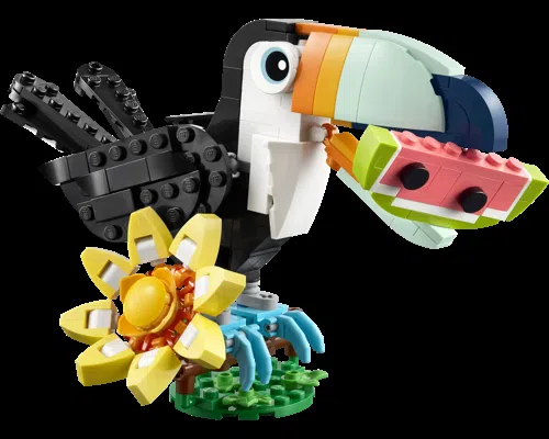 Tropical Toucan Tropical Toucan Image