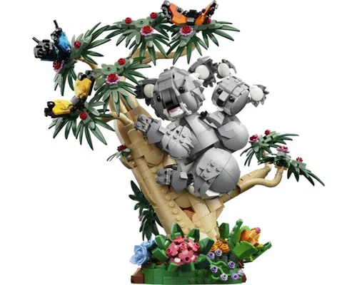 Wild Animals: Family of Koalas Image