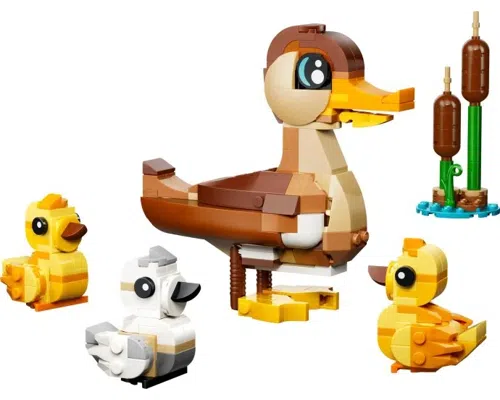 Duck Family Image