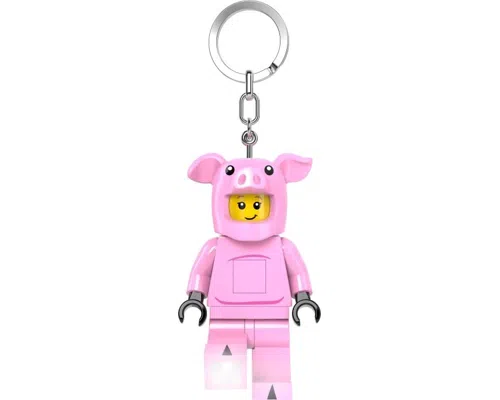 Piggy Guy Key Light Image