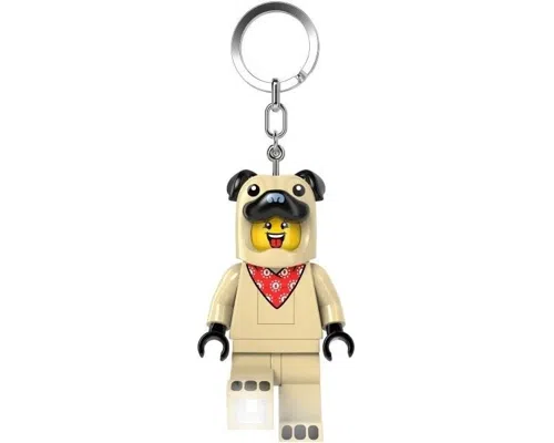 Pug Costume Guy Key Light Image