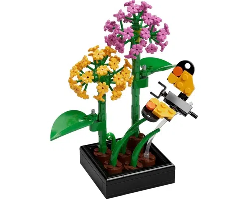 Butterfly Garden Image