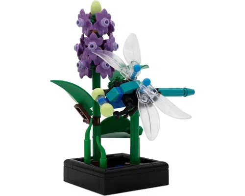 Dragonfly Garden Image