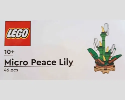 Micro Peace Lily Image