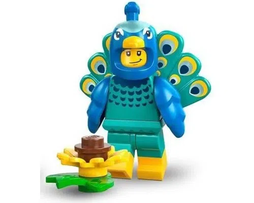 Peacock Costume Image
