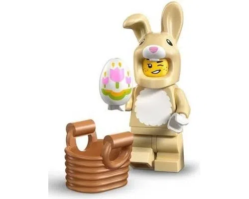 Cute Bunny Costume Image