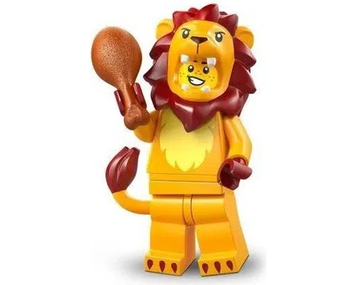 Lion Costume Image