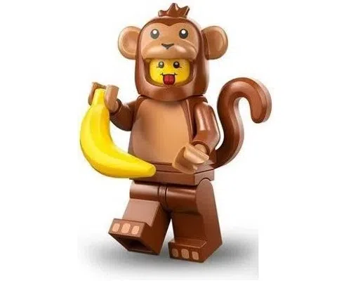 Monkey Costume Image