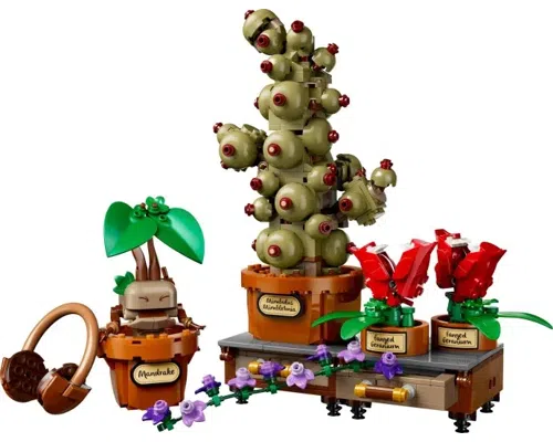 Hogwarts Herbology Plants Image