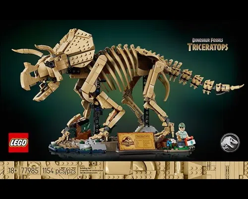 Dinosaur Fossils: Triceratops Image
