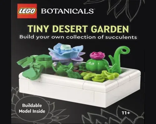 Tiny Desert Garden Image