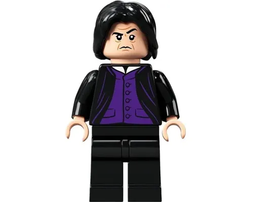 Professor Severus Snape Image