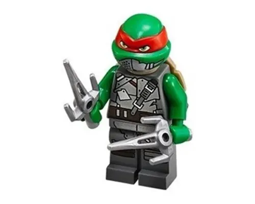 Raphael Image