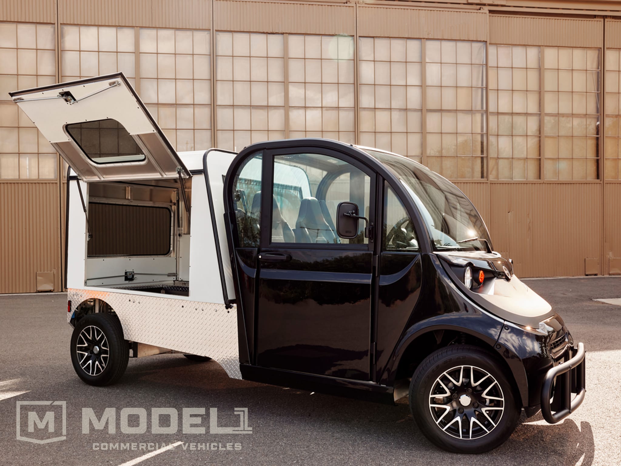2025 GEM eL XD - 2 Passenger | Model 1