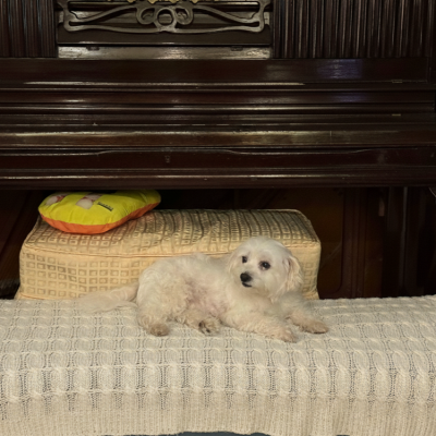 Grandma chilling on sofa