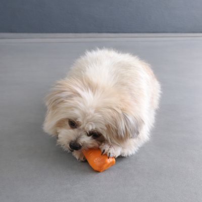 Peanut photo 9