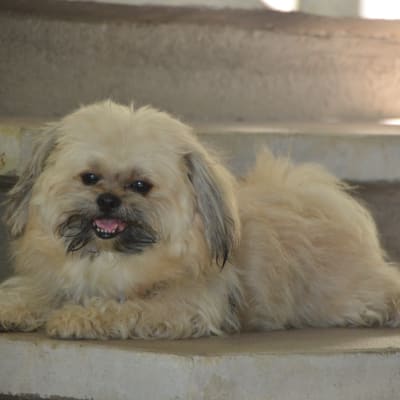 Sam photo 8