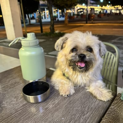 Sam photo 3