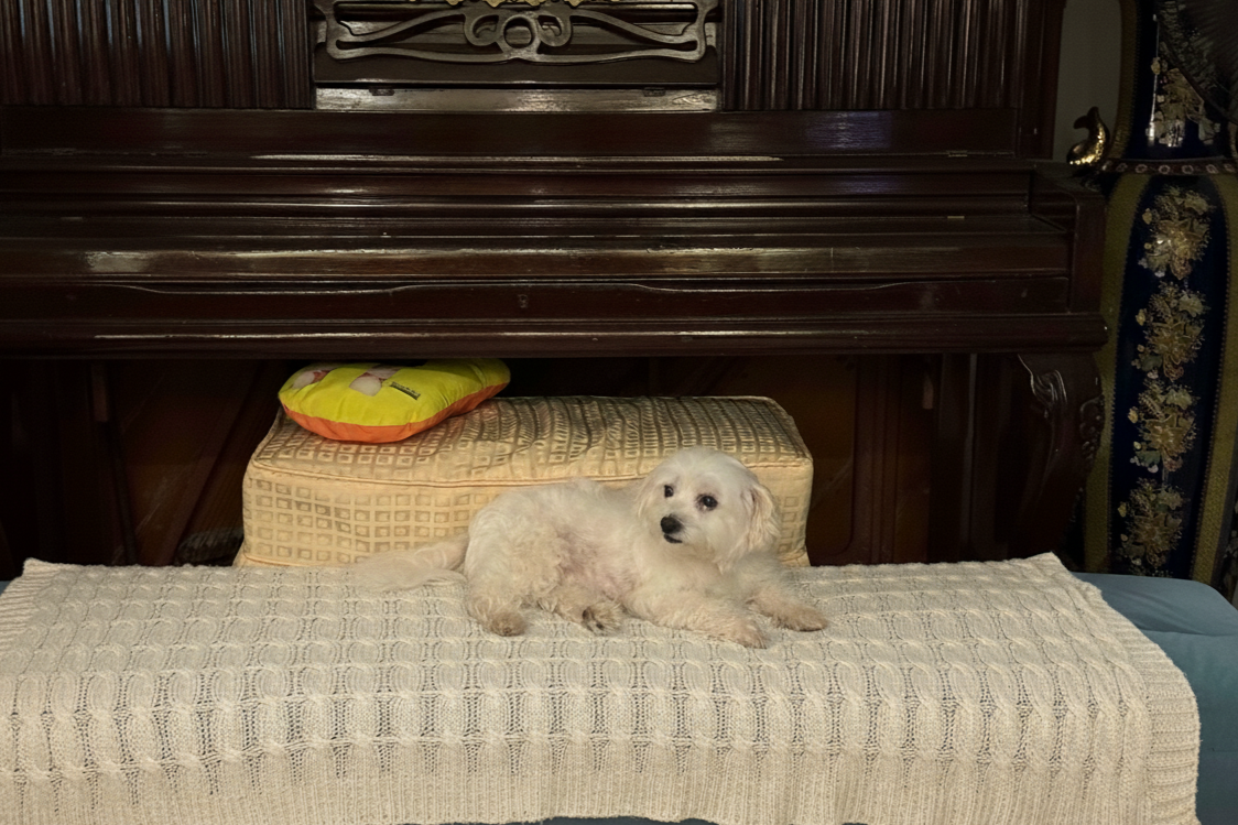 Grandma chilling on sofa