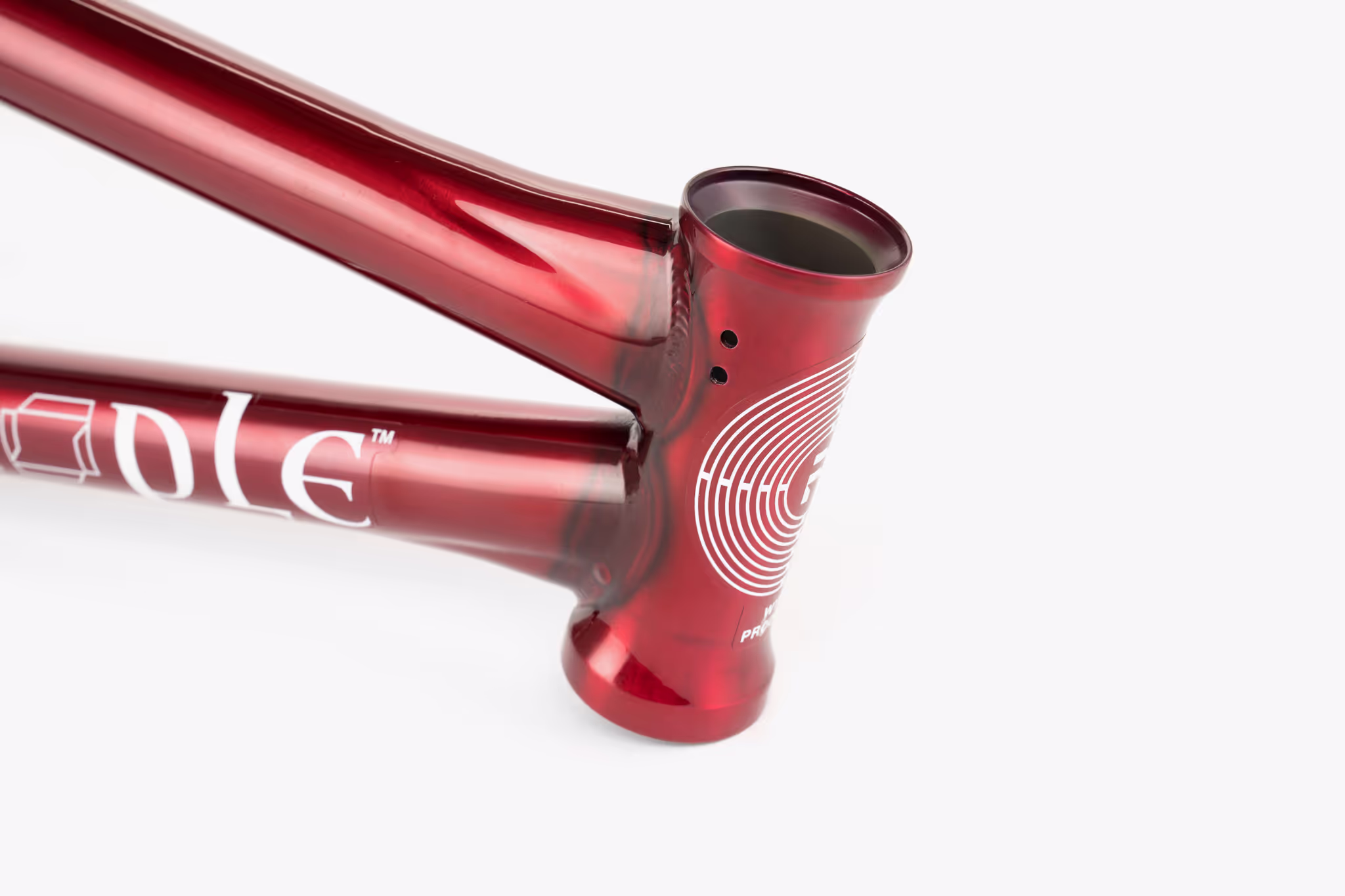 PRODIGY 18" - Imagen 3