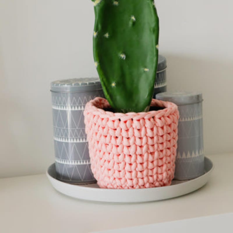 The Cactus Cozy