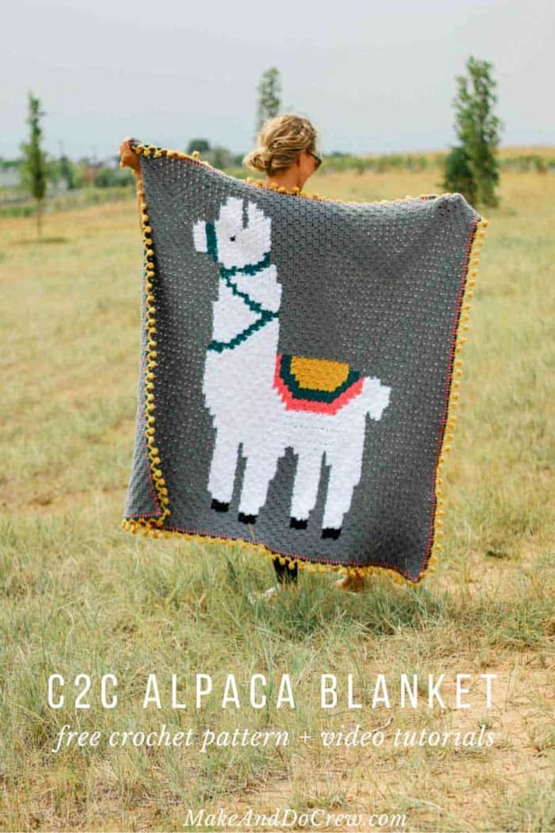 C2C Crochet Blanket