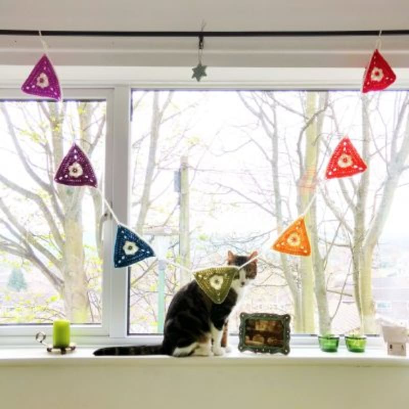 Rainbow Bunting