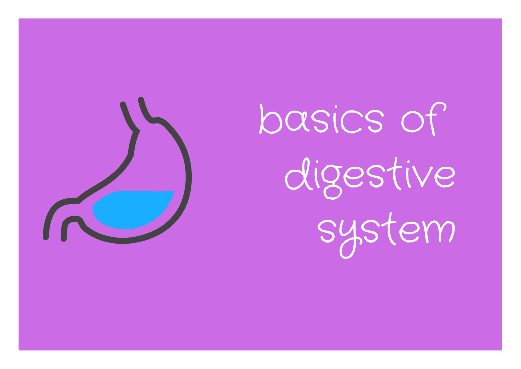 https://res.cloudinary.com/dcgyvzxge/image/upload/v1617204736/digestive_system_da0fhp.png