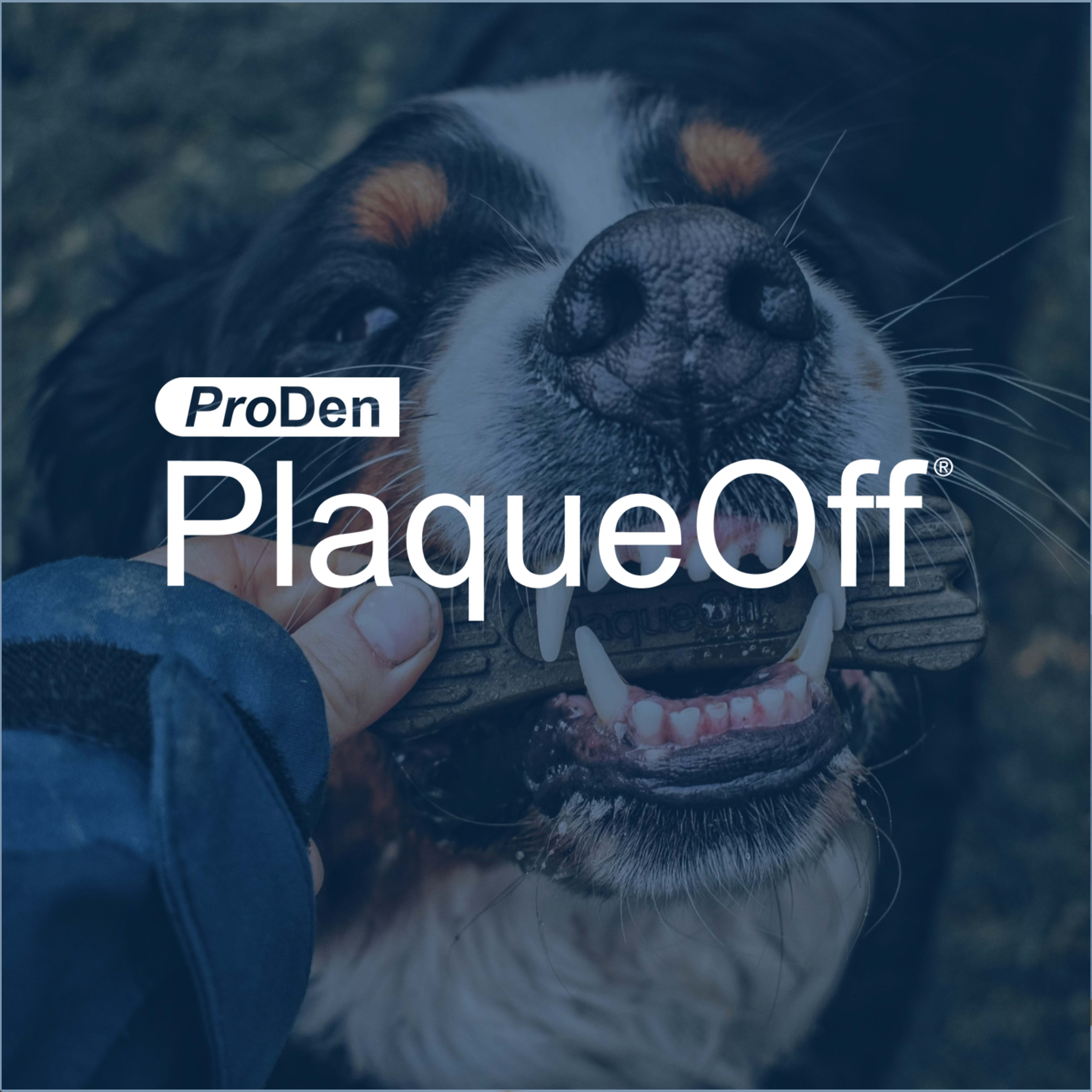 ProDen PlaqueOff®