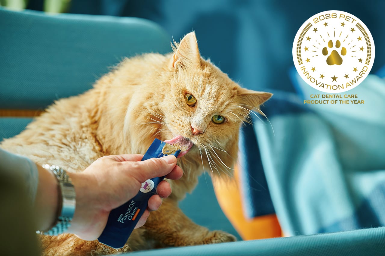 ProDen PlaqueOff® Crème named Cat Dental Care Product of the Year