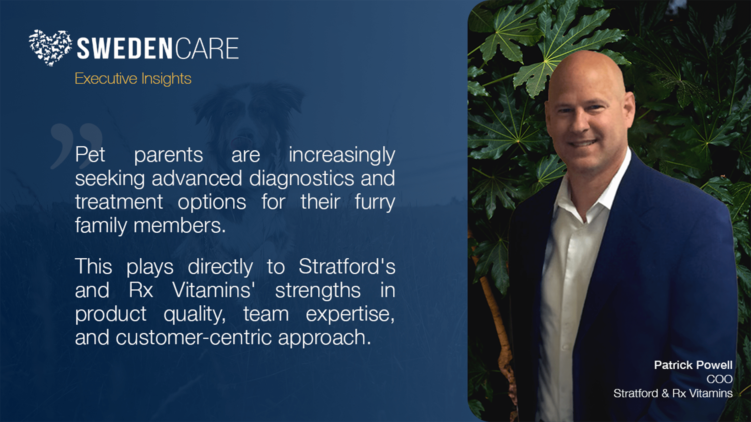Swedencare Executive Insights
