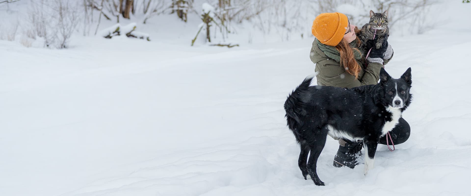 Leading in pet health