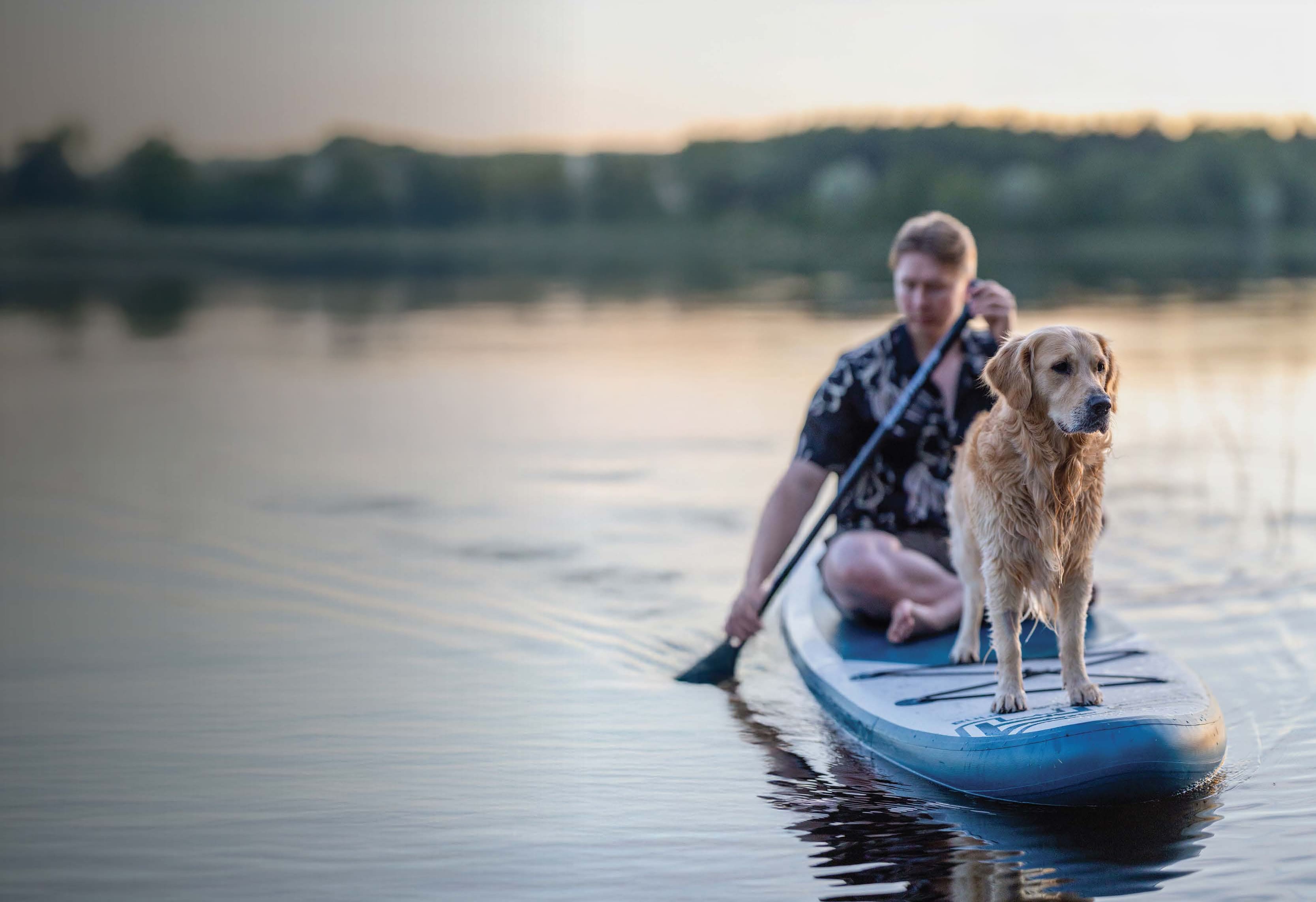 Leading in pet health