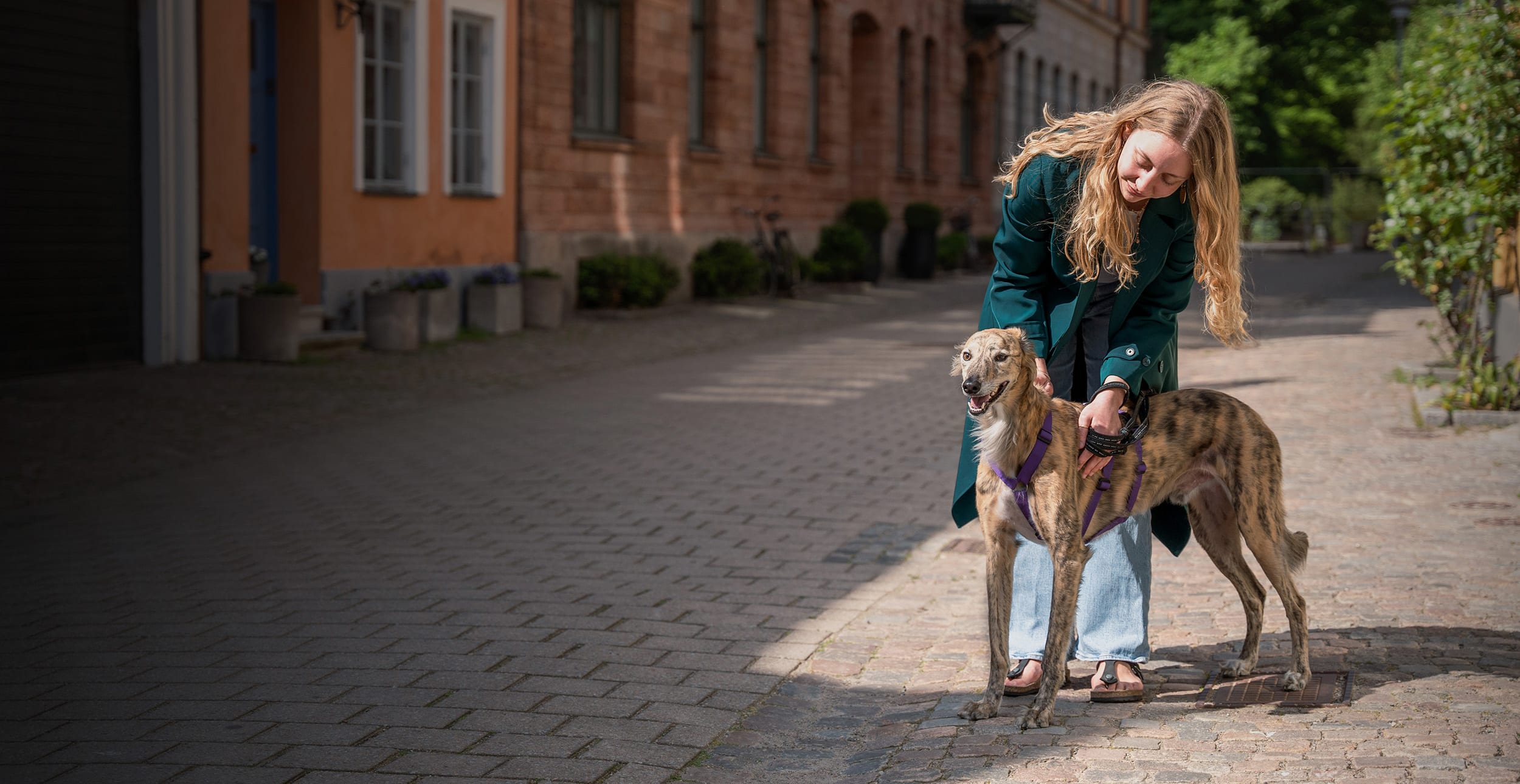 Leading in pet health