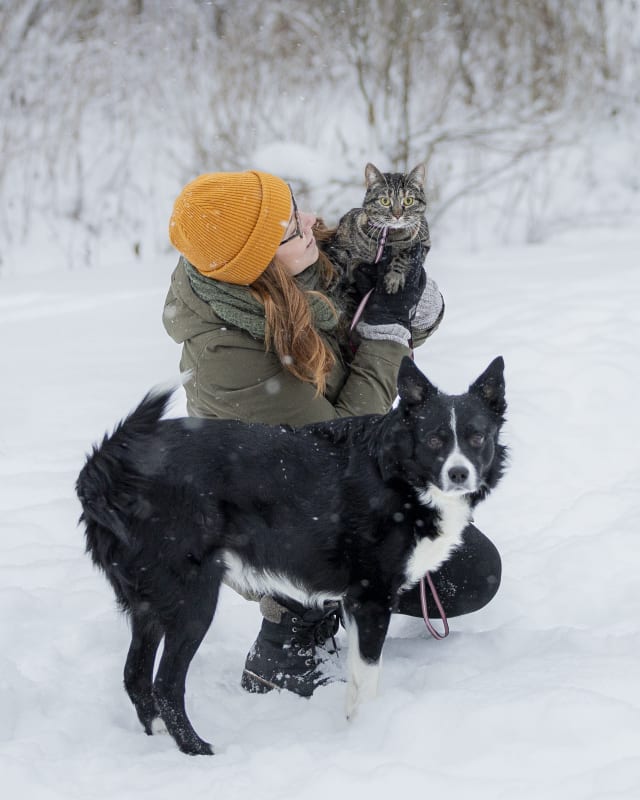 Interim Report Q3 2025